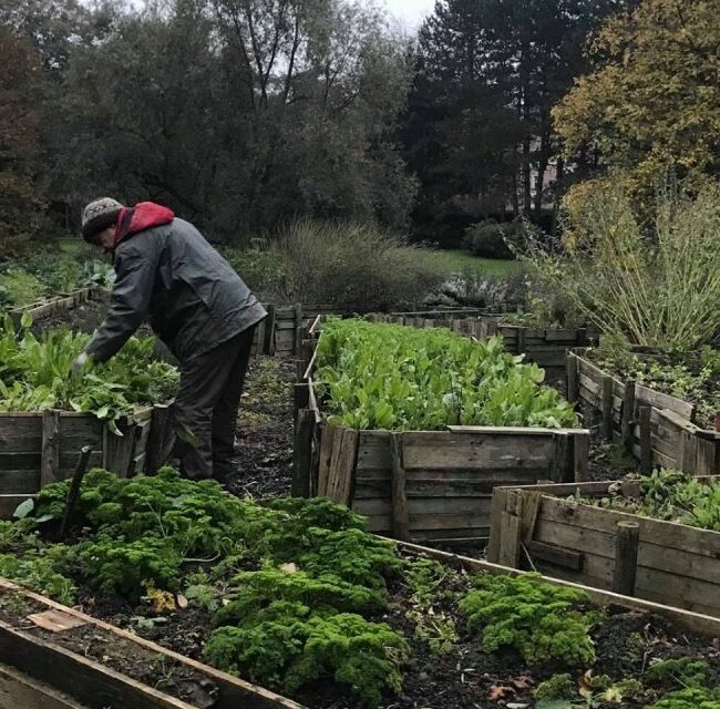 Permaculture et Transition Écologique pour les Collectivités