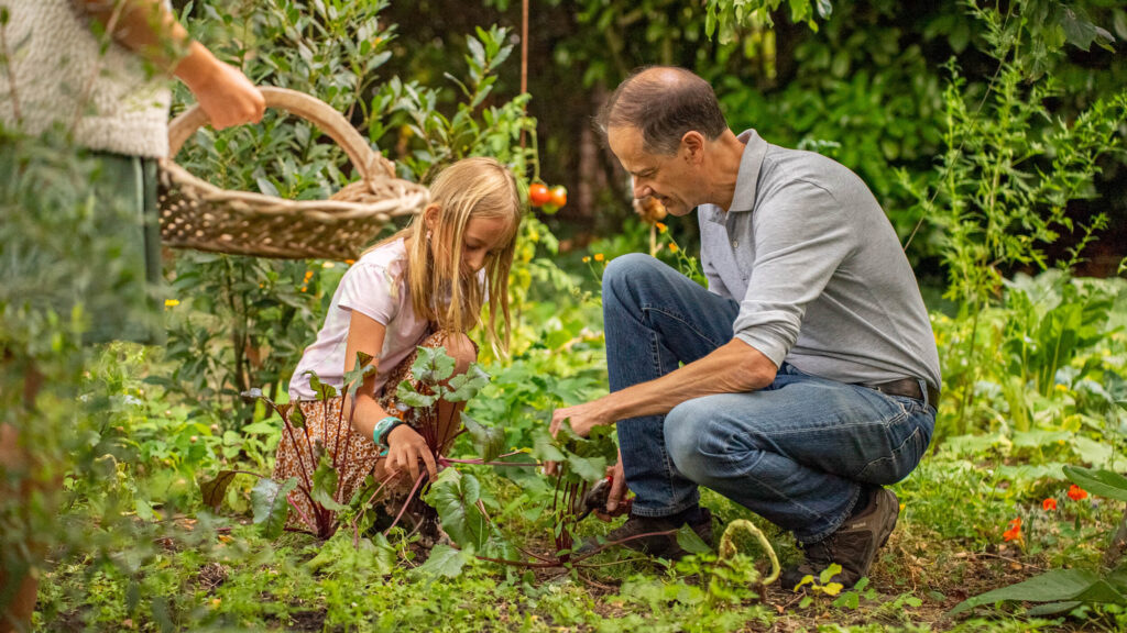 Formation Animateur Permaculture