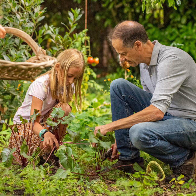 Formation Animateur Permaculture