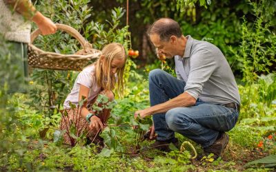 Formation Animateur Permaculture